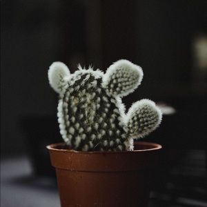 Meet your Posher, 小仙女